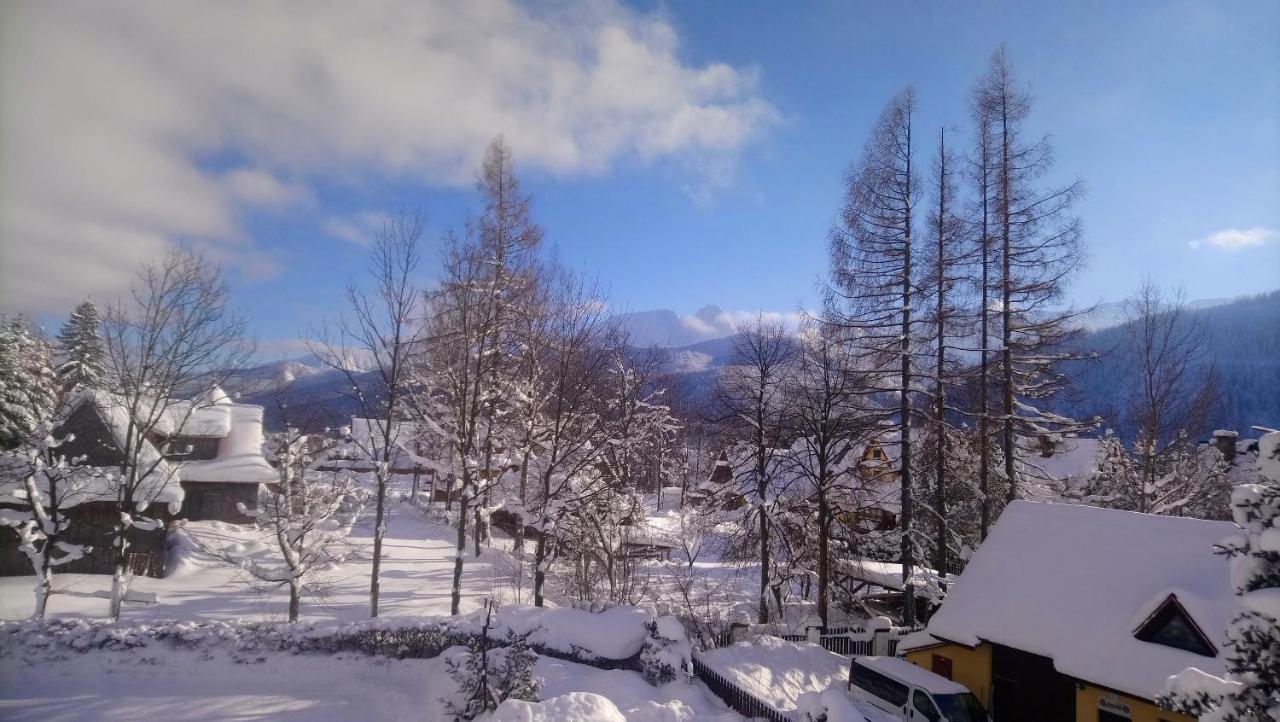 Homestay Apartamenty-wynajem Pokoi Zbigniew Tylka Koscielisko